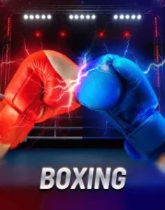 jili3 boxing